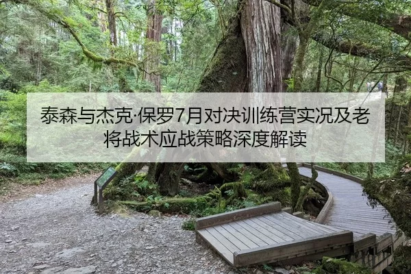 泰森与杰克·保罗7月对决训练营实况及老将战术应战策略深度解读
